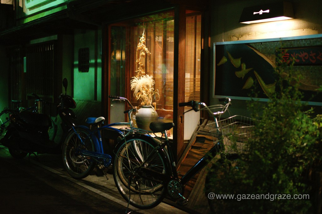 Old Kyoto lane