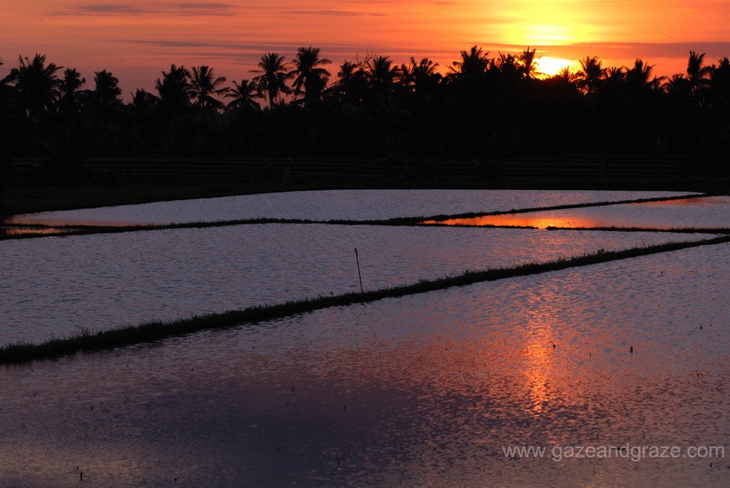 Canggu, Bali