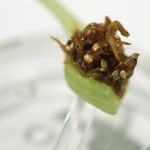 Course 3