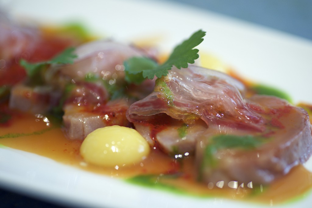 Iberian pork