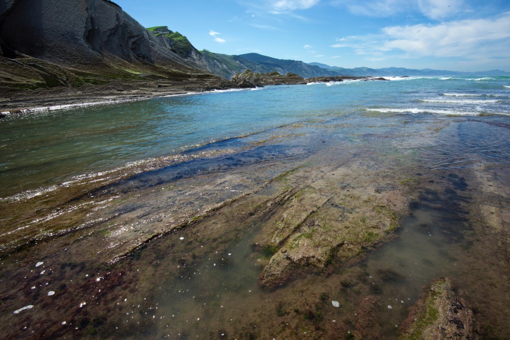 Flysch rocks