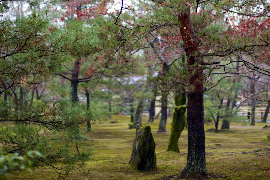 Golden Pavilion garden