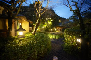 Kitcho's garden