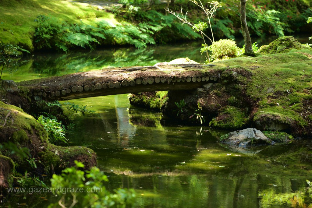 Kyoto's Kokera moss temple