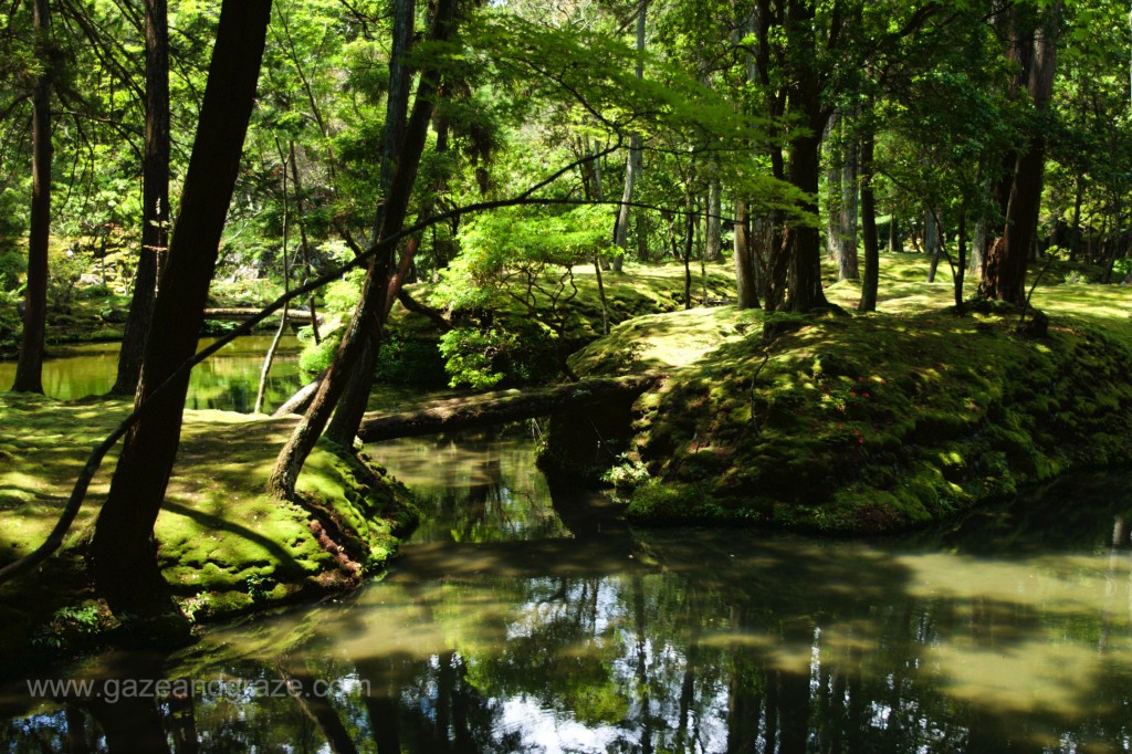 Kokera, Kyoto's Moss Temple