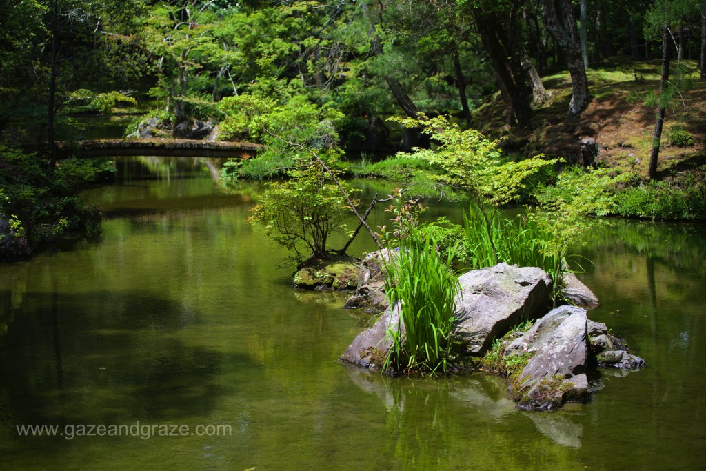 Kyoto's Kokedera moss temple