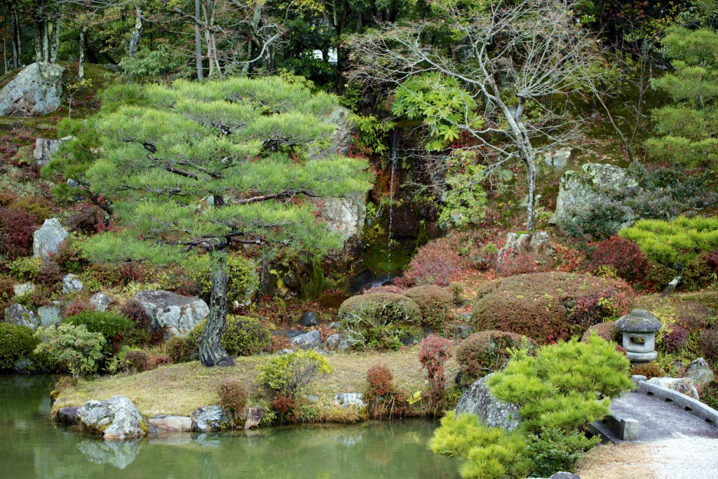 Ninna-ji's garden 