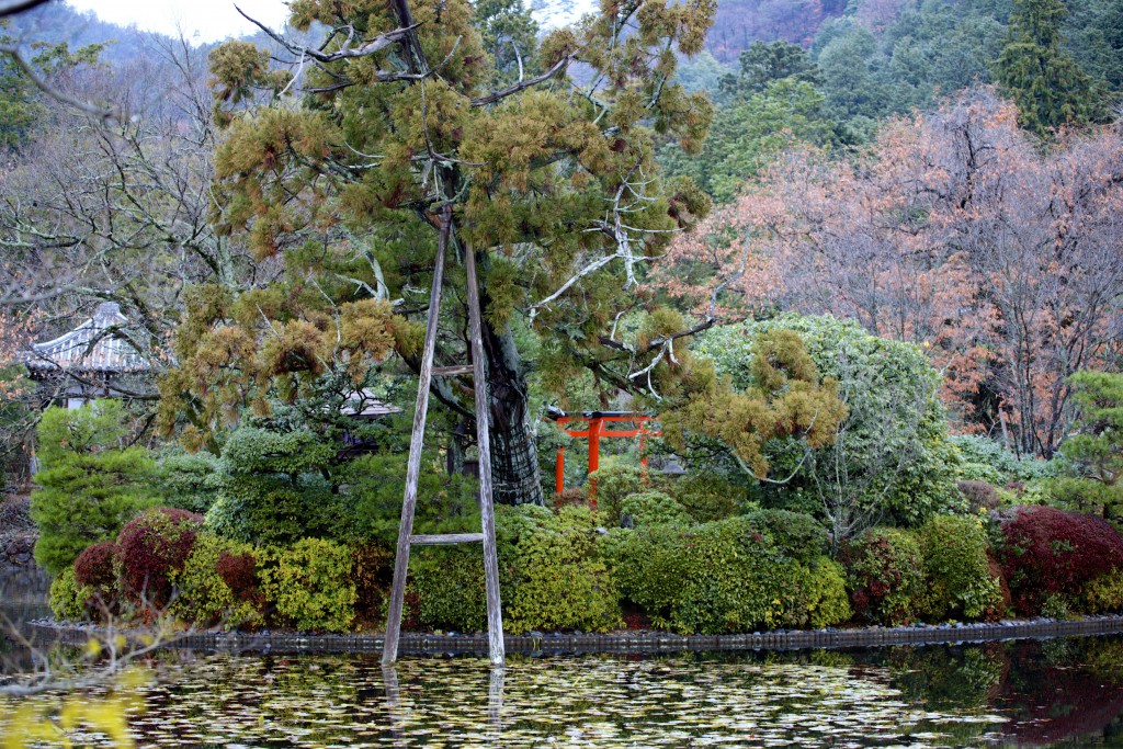 Ryoan-ji lake