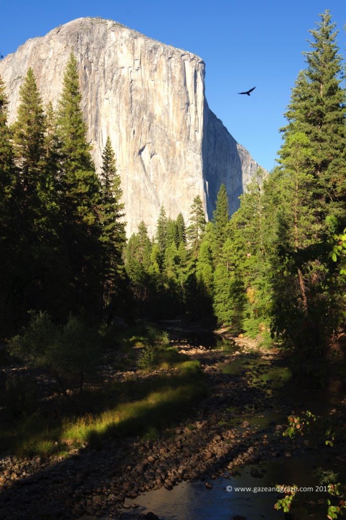 Yosemite National Park