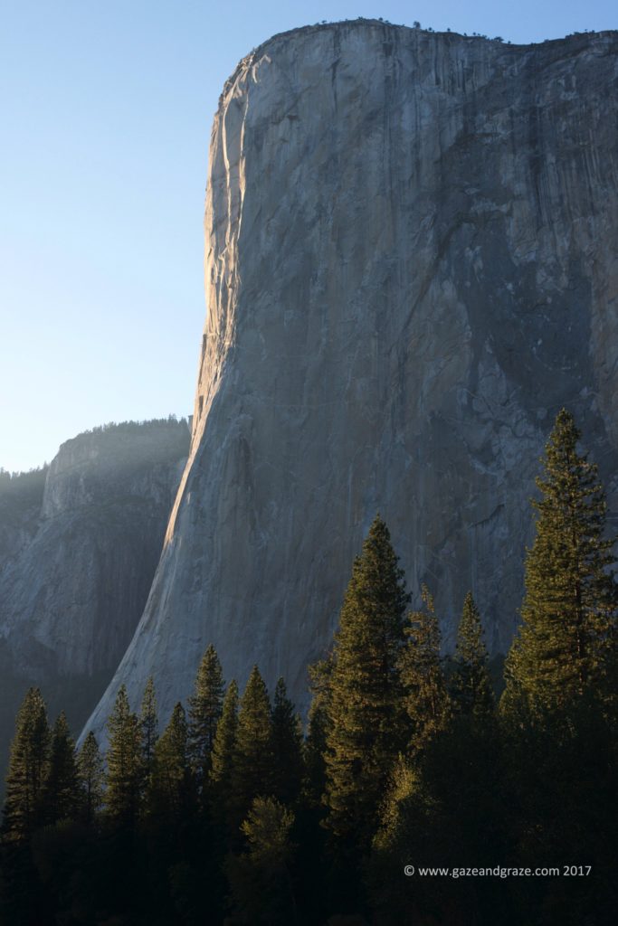 Yosemite National Park