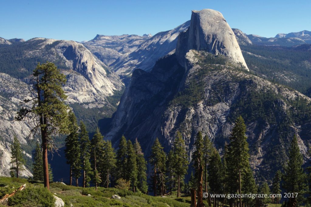 Yosemite's Half Dome