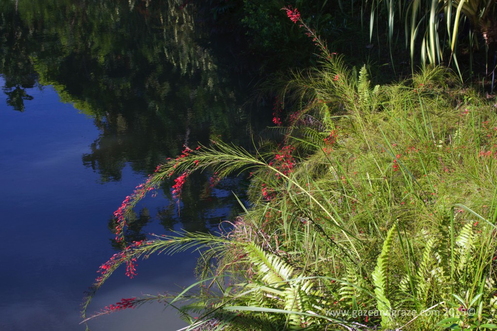 Singapore gardens