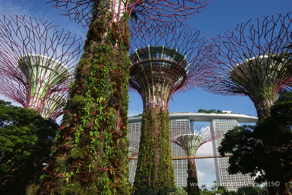 Singapore Gardens