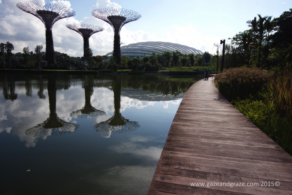Gardens by the Bay