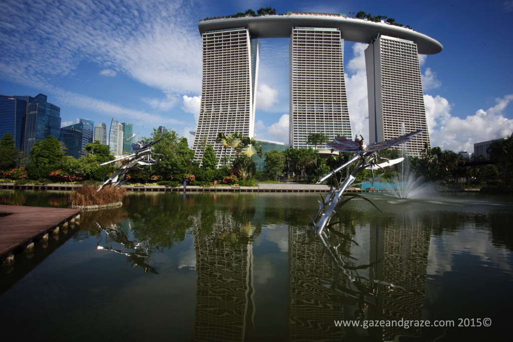 Dragonfly Island