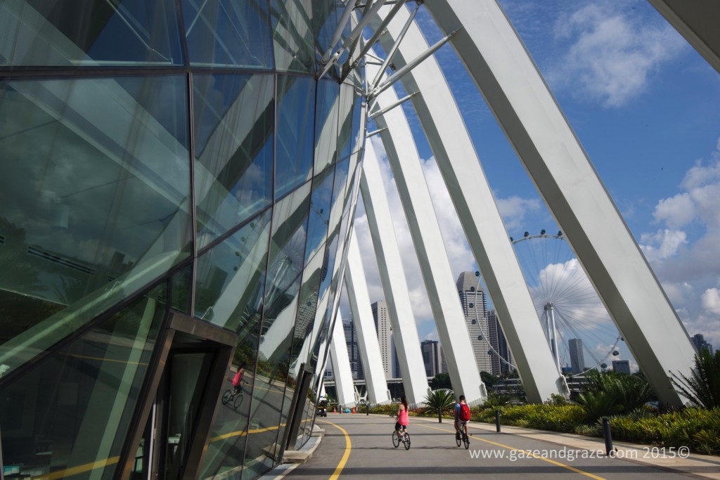 Singapore Glass Dome