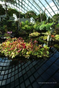 Singapore glass domes