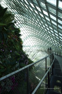 Singapore glass domes