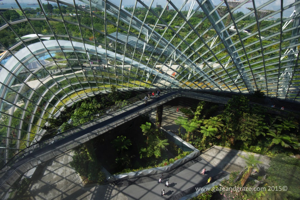 Singapore glass domes