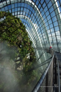 Singapore glass domes
