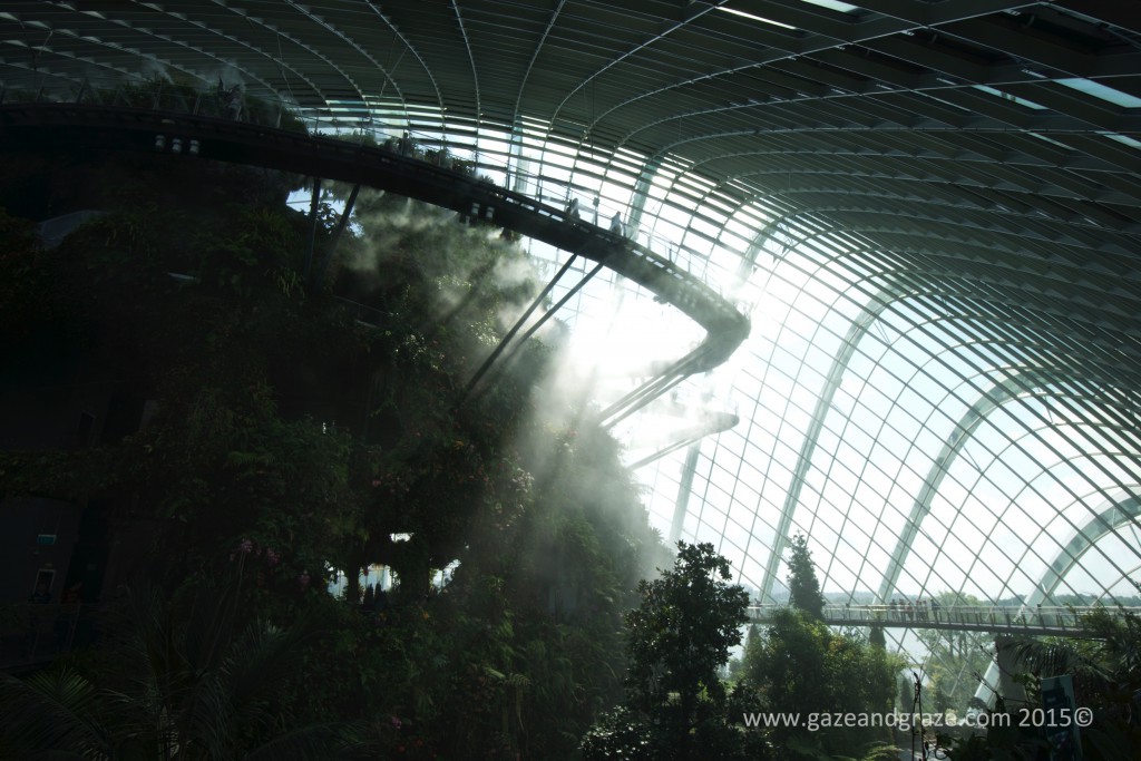 Singapore glass domes