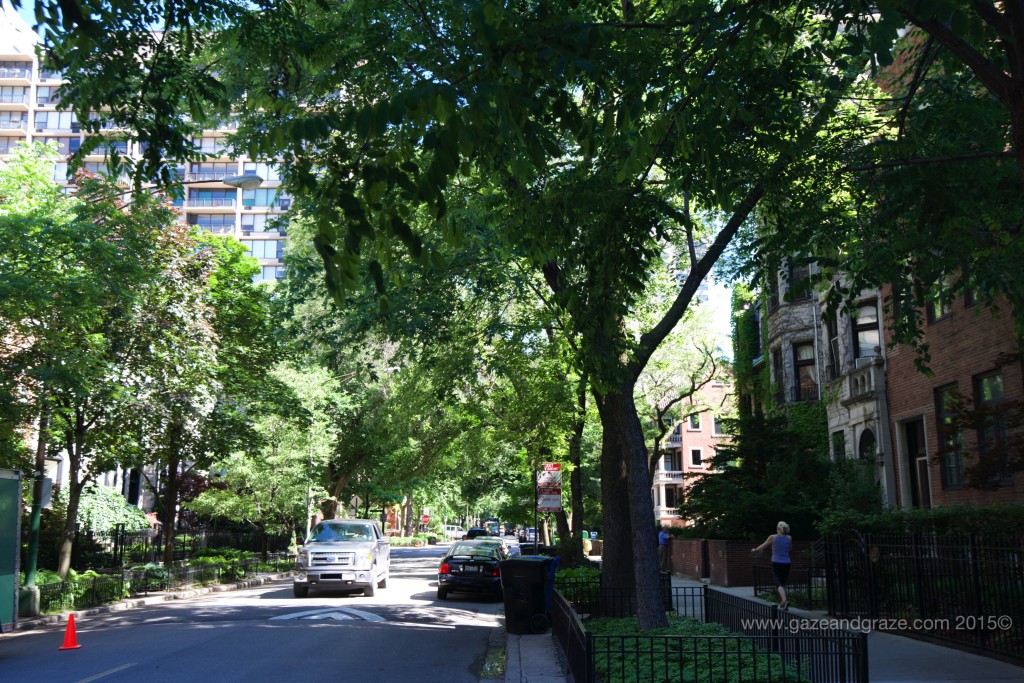 Chicago Old Town
