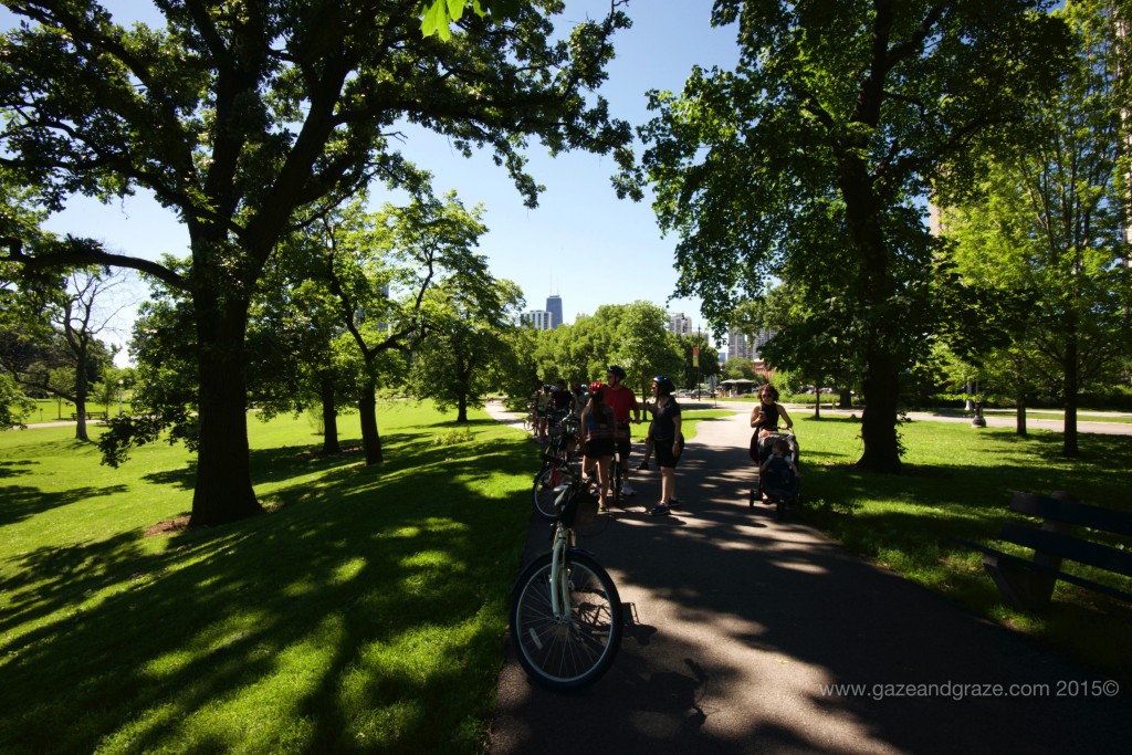Lincoln Park
