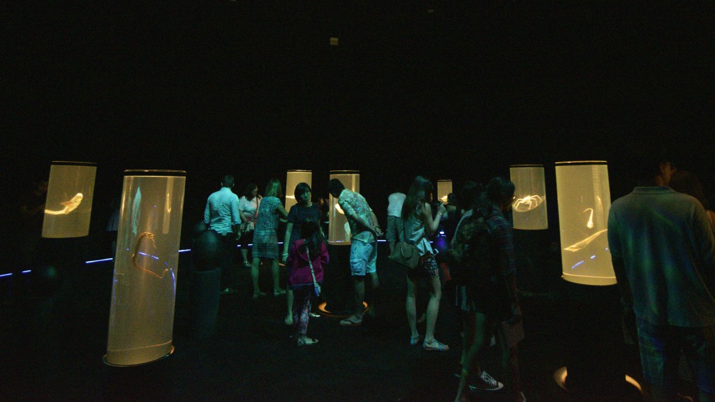 The Deep Exhibit