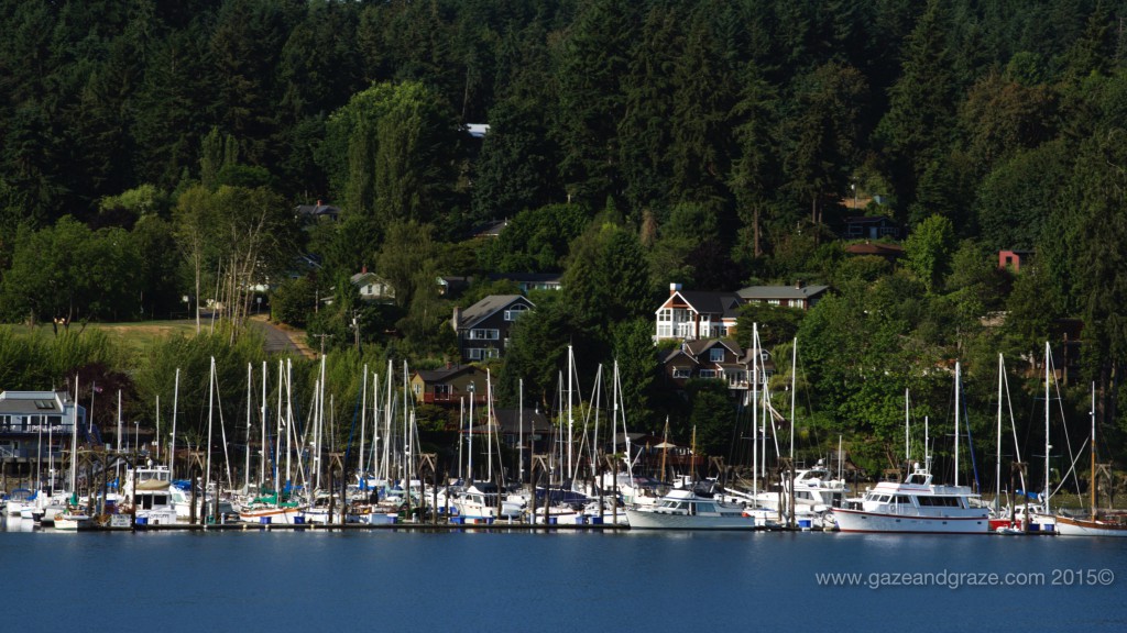 Bainbridge Island marina