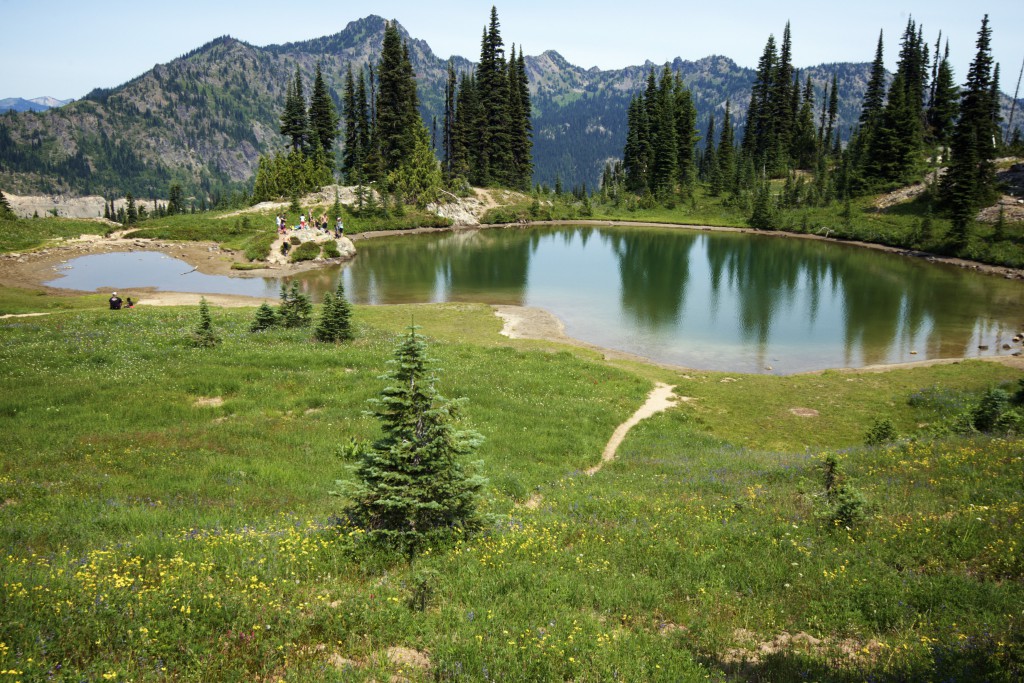Nice walk on Mt. Rainier