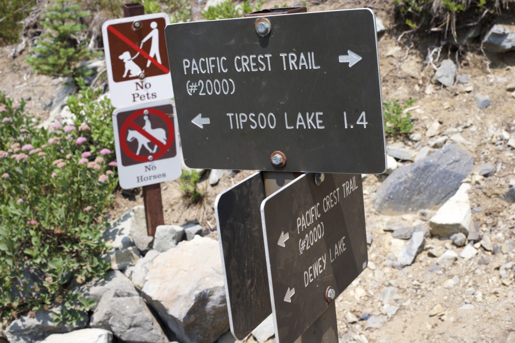 Mt. Rainier trails