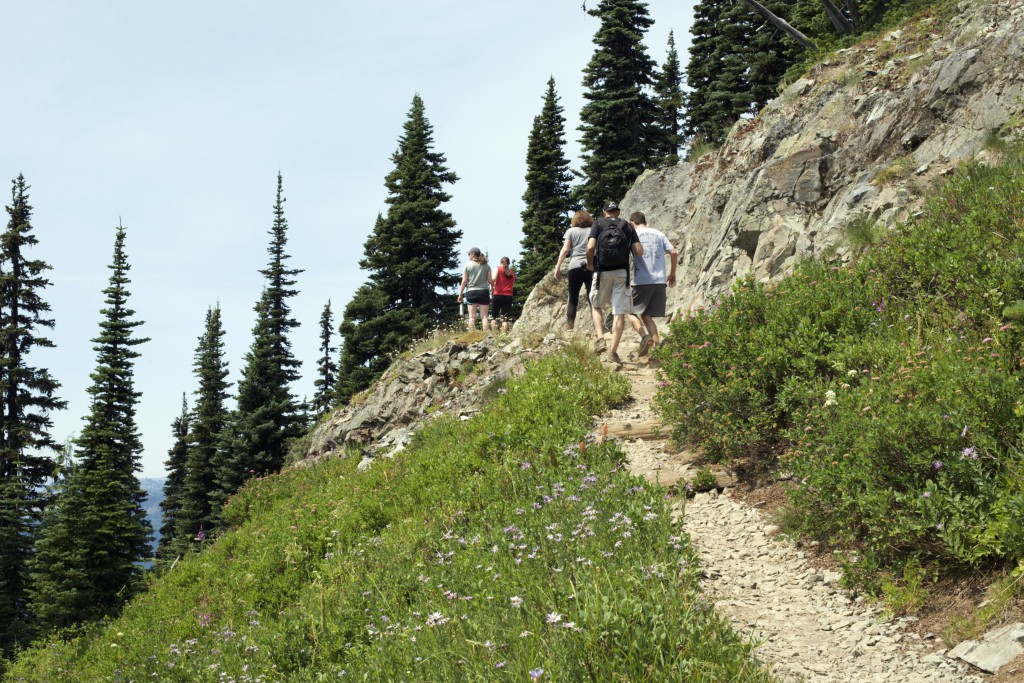 Nice walk on Mt. Rainier