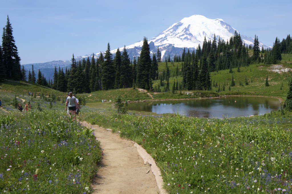 Nice walk on Mt. Rainier