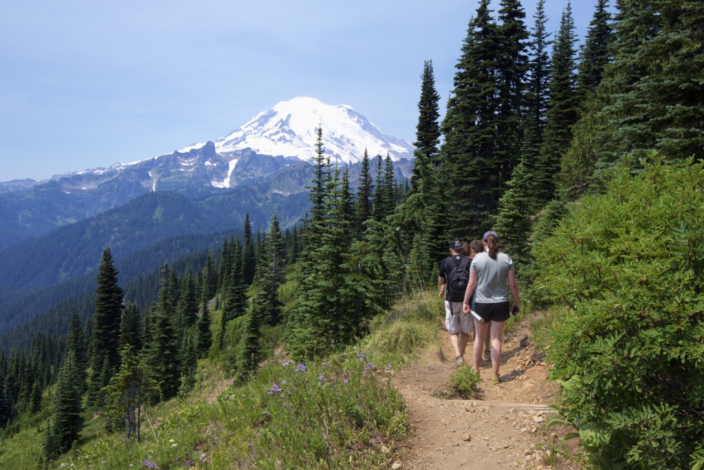 Nice walk on Mt. Rainier