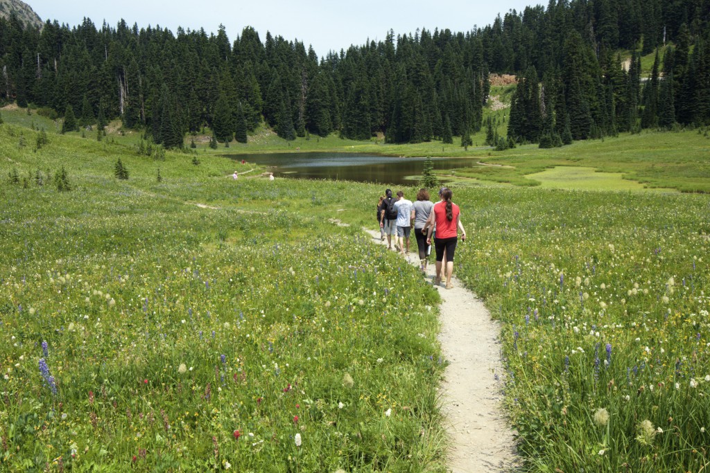 Nice walk on Mt. Rainier