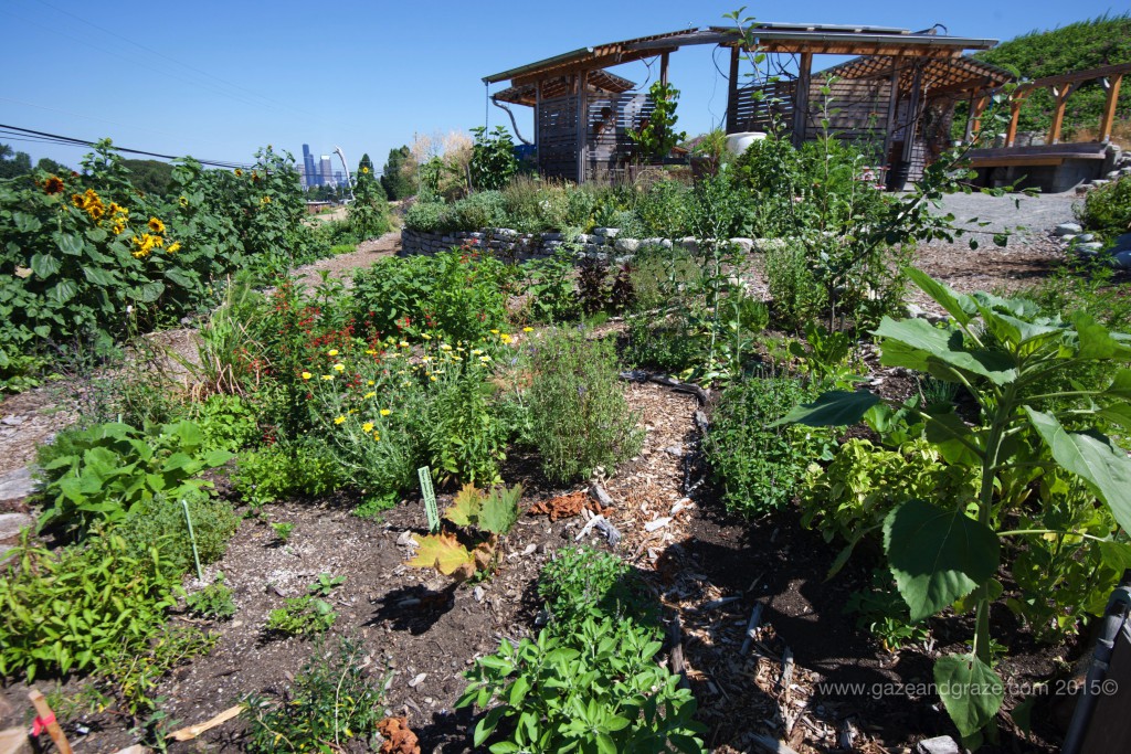 Beacon Food Forest