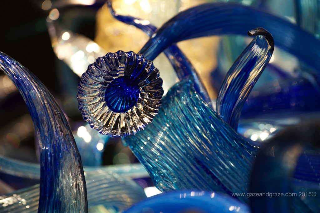 Seattle Center Chihuly seascape
