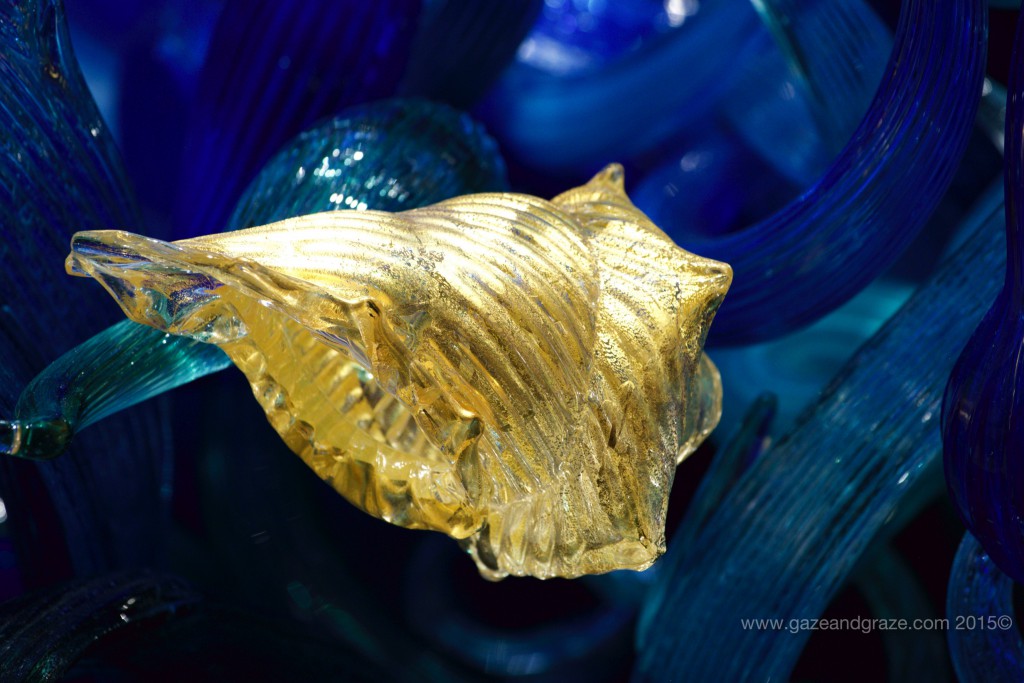 Seattle Center Chihuly shellfish