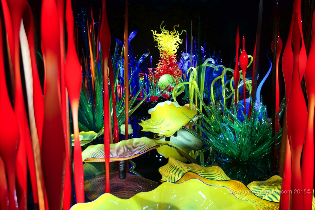 Seattle Center Chihuly garden