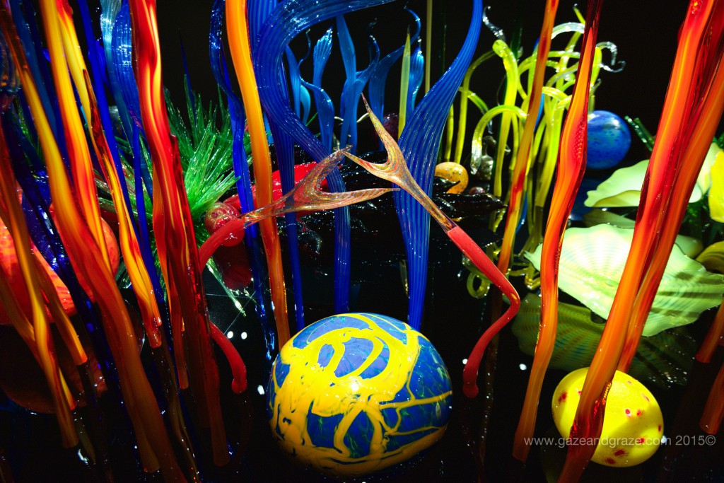 Seattle Center Chihuly