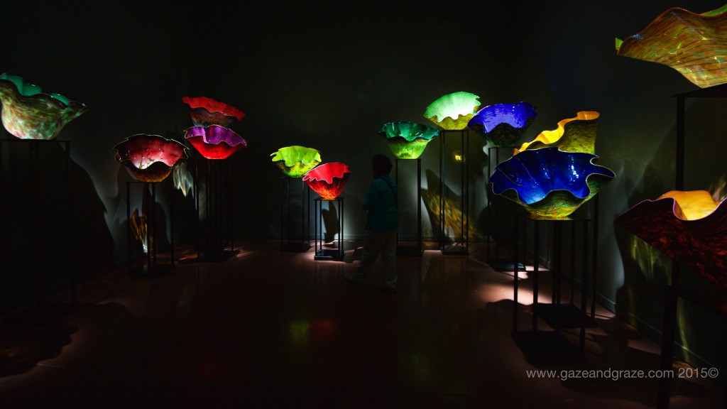 Chihuly Seattle Center