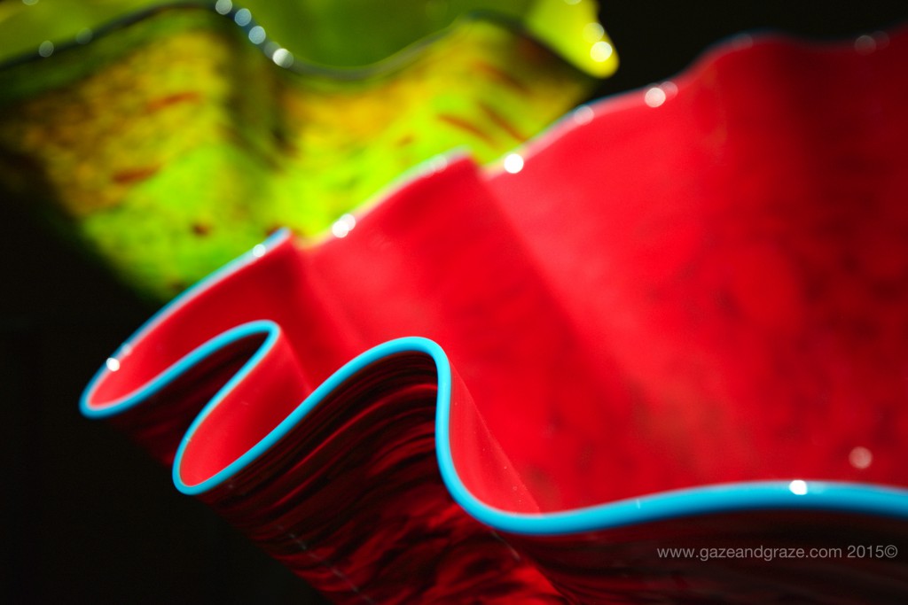 Seattle Center Chihuly exhibit
