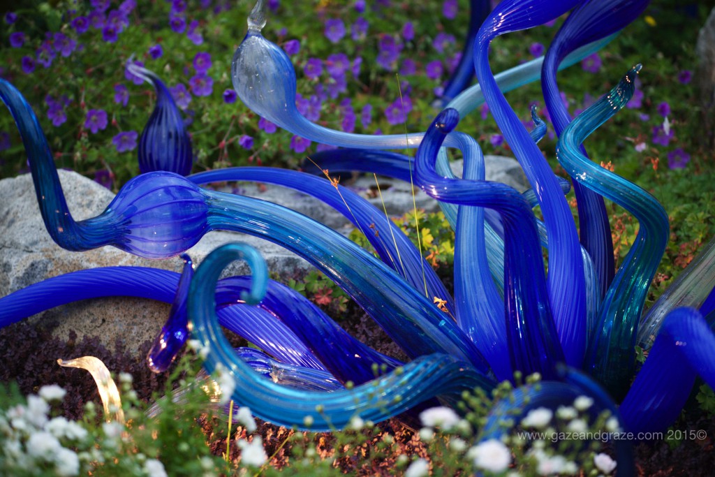 Seattle Center Chihuly garden