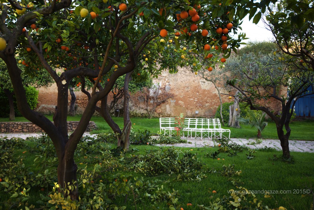 The smell of lemons filled the air outside the tasting room