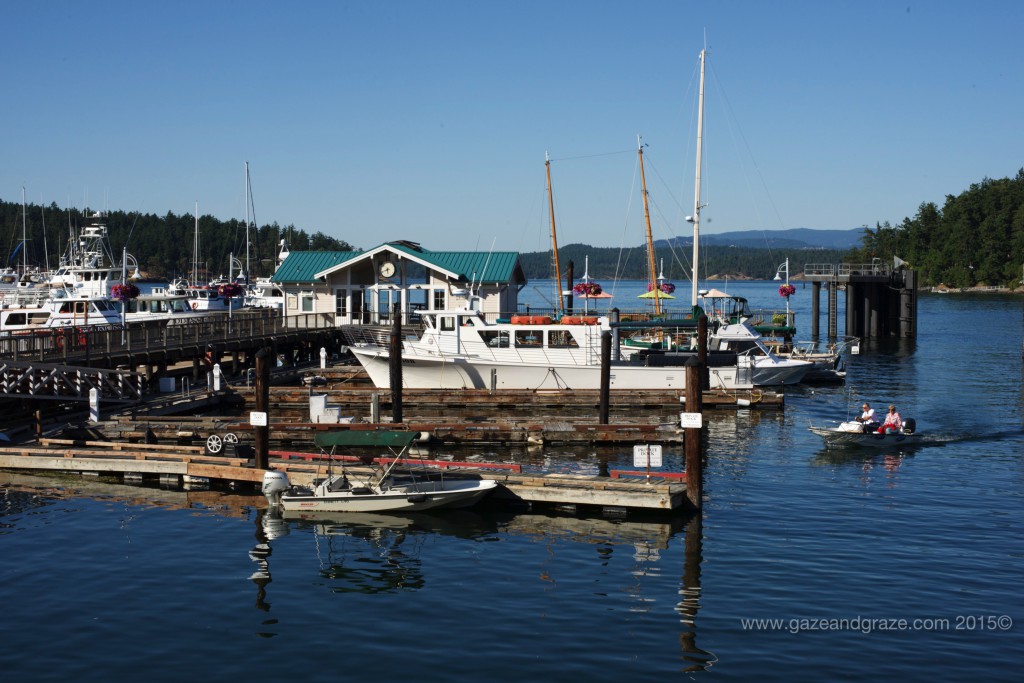 Friday Harbor