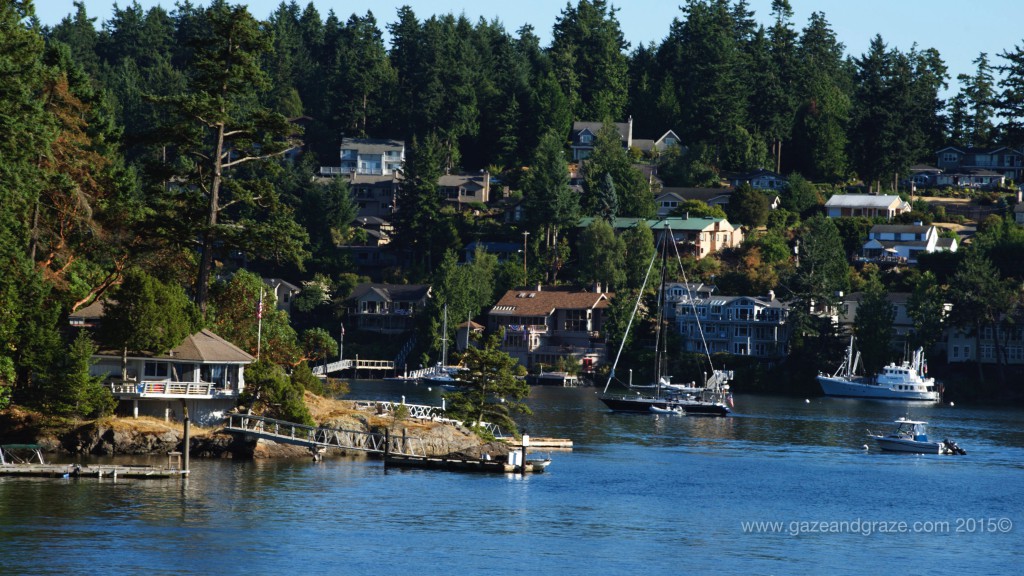 Friday Harbor houses