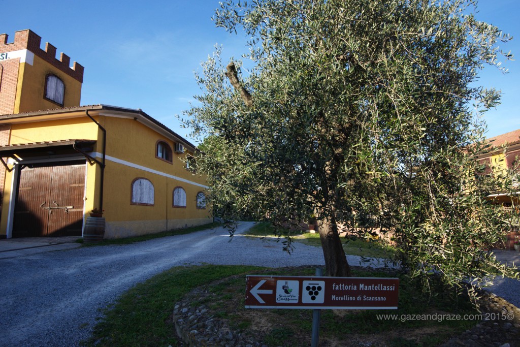 Fattoria Mantellassi