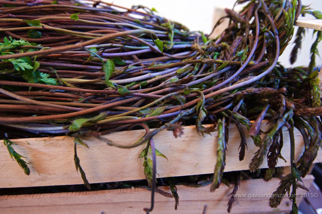 Fresh produce at Ristorante Veneziano in Randazzo