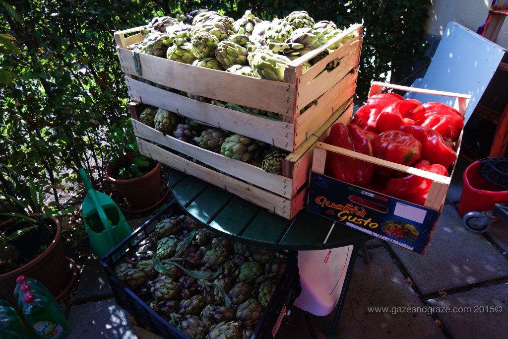 Fresh artichokes and peppers