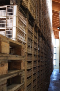 Crates stacked in the Nicolis winery